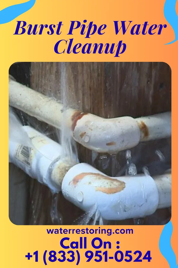 Burst Pipe Water Cleanup in Ehrenfeld, PA
