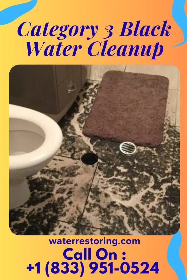 Category 3 Black Water Cleanup in Ehrenfeld, PA